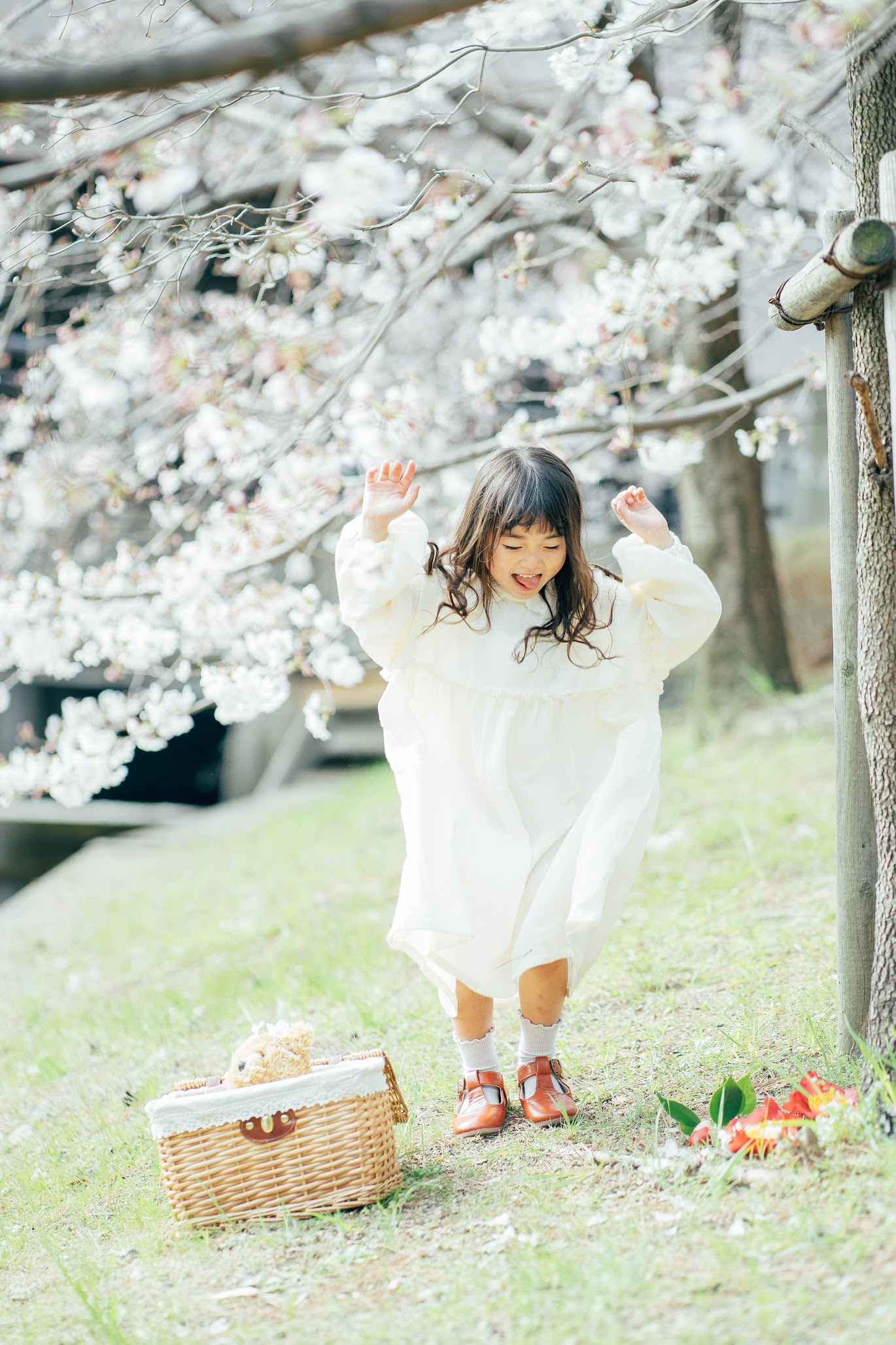 sakura-photo